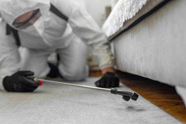 Professional Bed Bug Control technician working in Scobey, MT